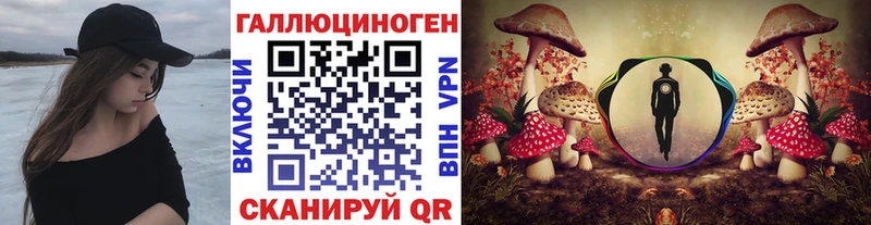Галлюциногенные грибы Cubensis Арск